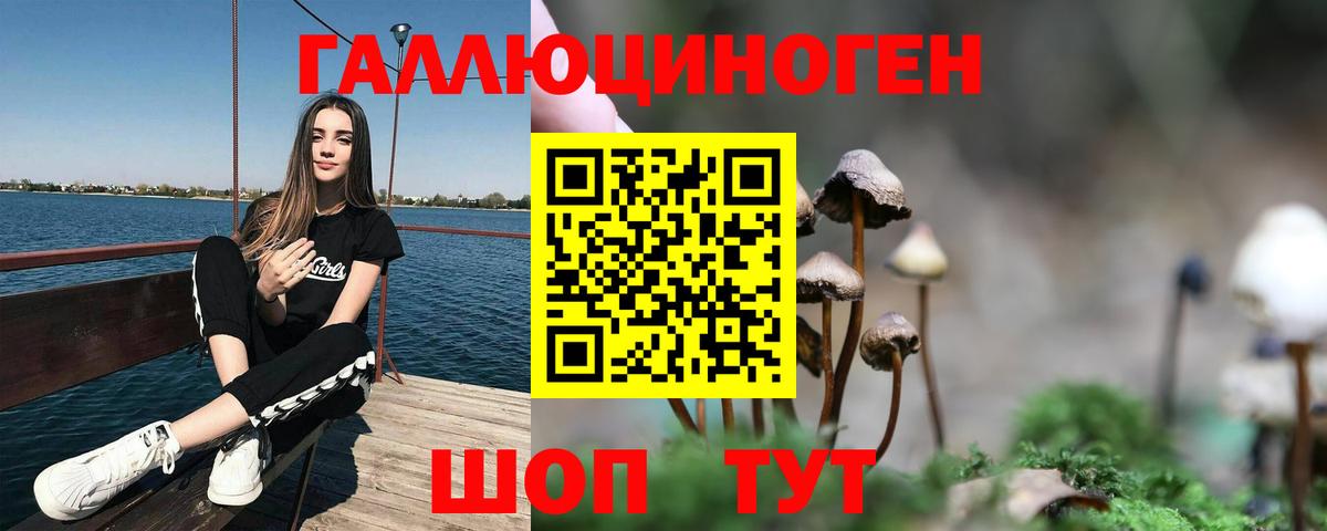 Саянск  Галлюциногенные грибы Psilocybe  Галлюциногенные грибы Psilocybine cubensis  Вход с VPN 